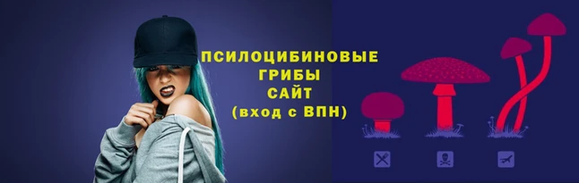 2c-b Арсеньев