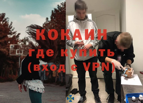 индика Осташков