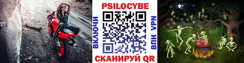 купить  цена  Покров  ссылка на мегу ССЫЛКА  Галлюциногенные грибы Psilocybe 